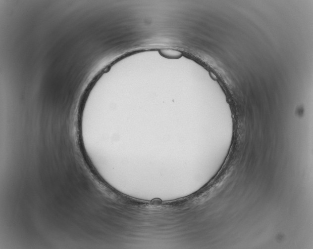 X0000116801469201001151112
