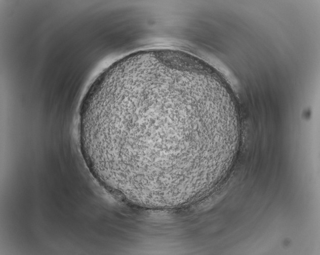 X0000116801472201001151112