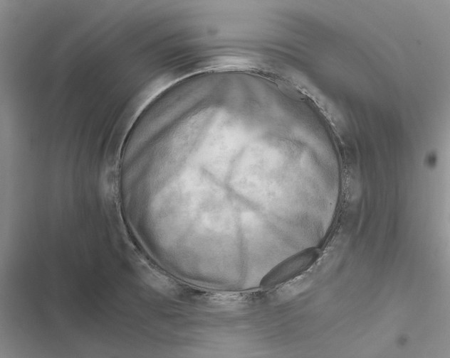 X0000116801473201001151112