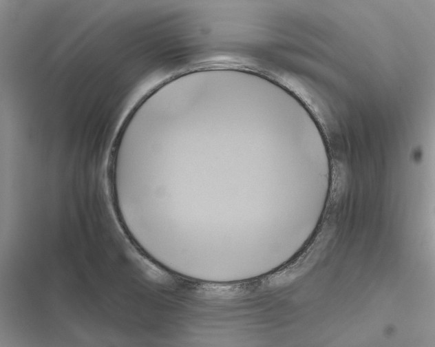 X0000116801474201001151112