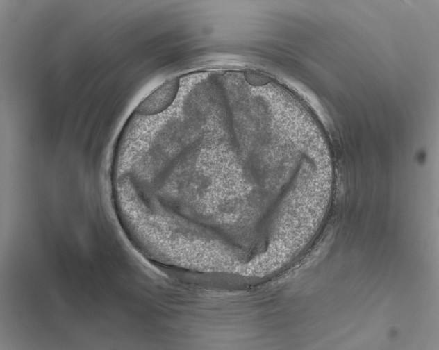 X0000116801475201001151112