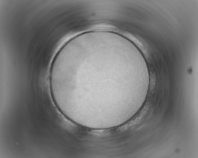 X0000116801478201001151112