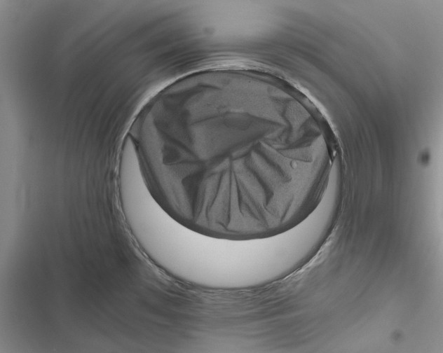 X0000116801481201001151112