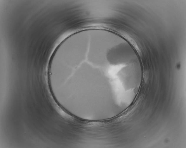 X0000116801482201001151112