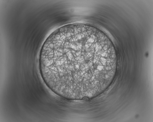 X0000116801483201001151112