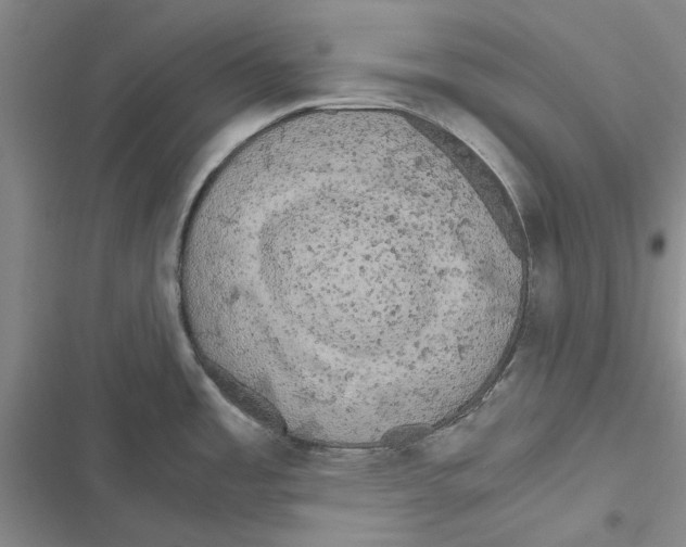 X0000116801485201001151112