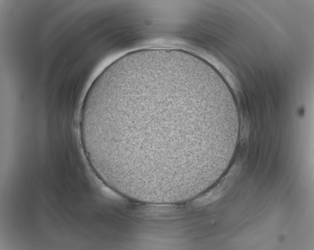 X0000116801486201001151112