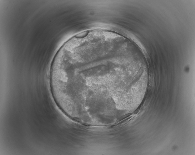 X0000116801487201001151112