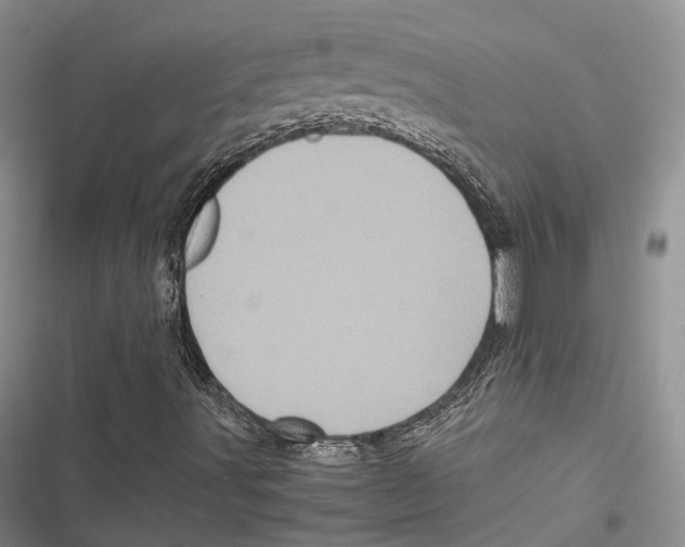 X0000116801491201001151111