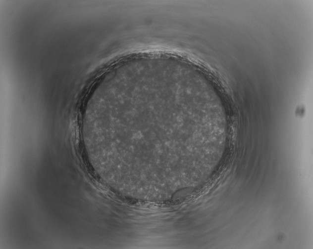 X0000116801493201001151111