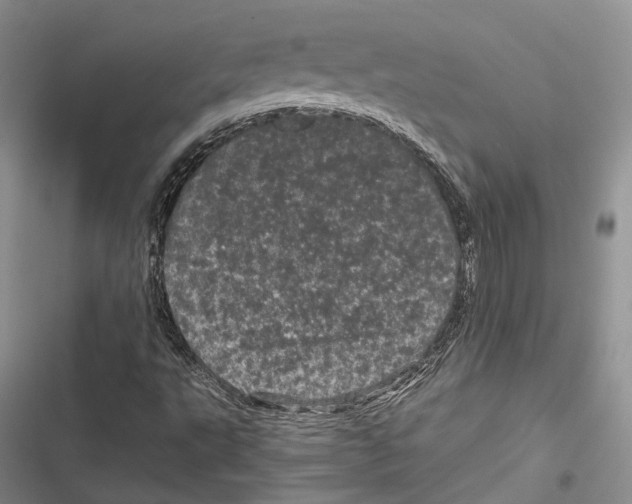 X0000116801495201001151111