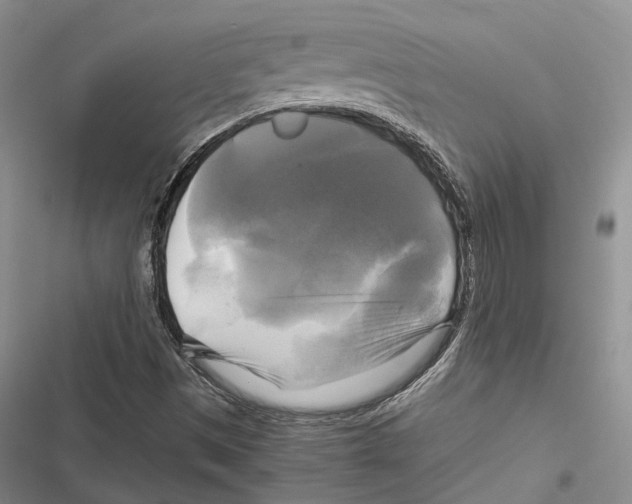 X0000116801497201001151111