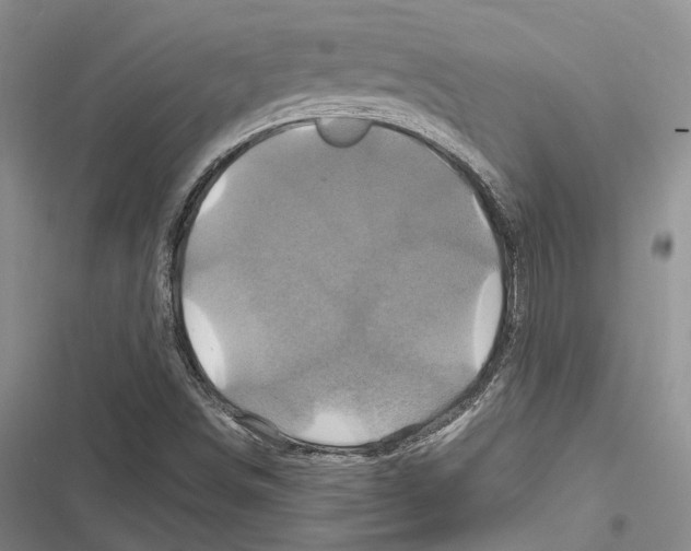 X0000116801498201001151111