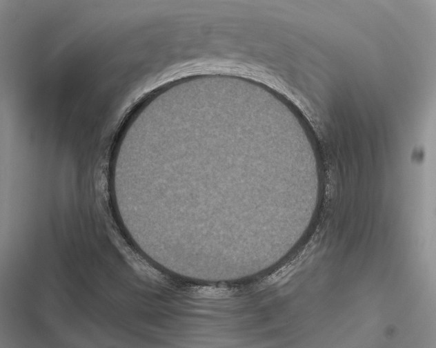 X0000116801499201001151111