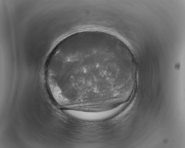 X0000116801501201001151111