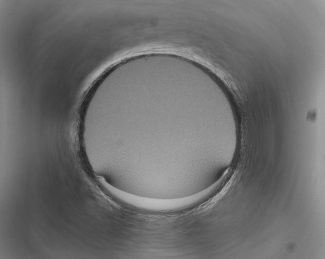 X0000116801502201001151111