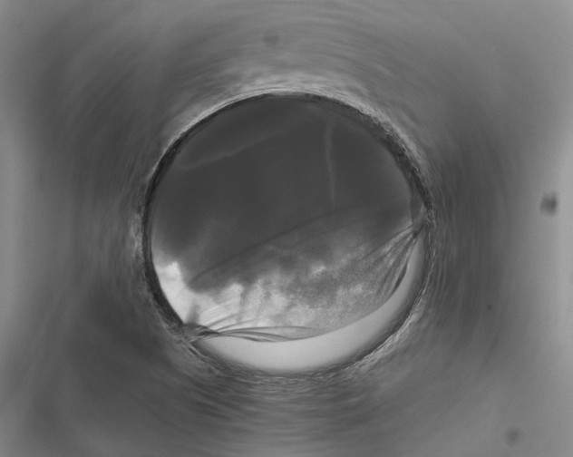 X0000116801505201001151111
