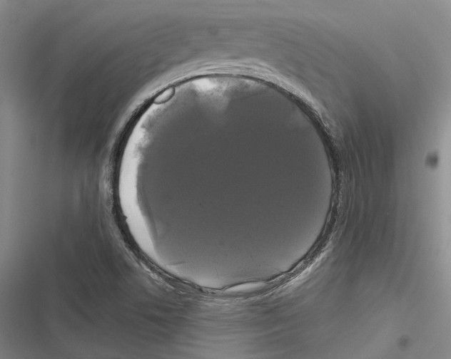 X0000116801506201001151111