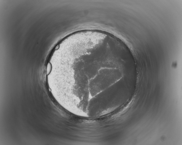 X0000116801509201001151111