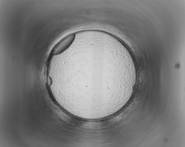 X0000116801510201001151112