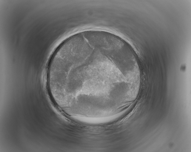 X0000116801511201001151112