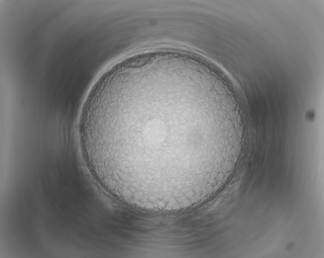 X0000116801514201001151112