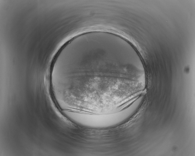 X0000116801515201001151112
