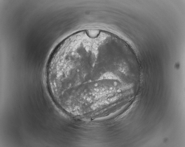 X0000116801517201001151112