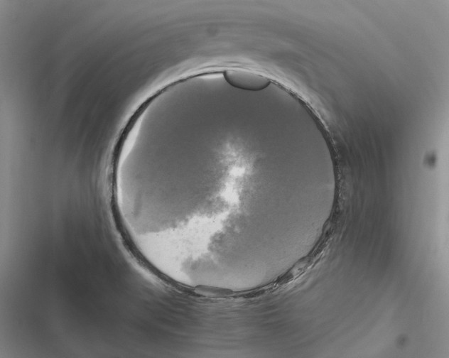 X0000116801519201001151112