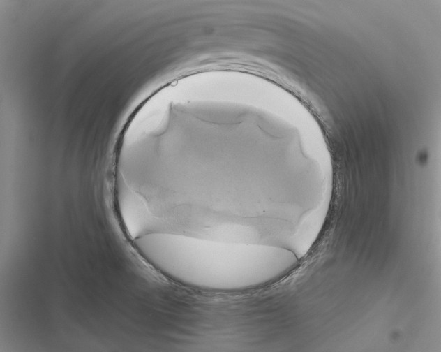 X0000116801522201001151112