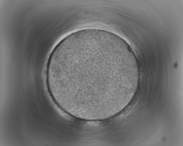 X0000116801523201001151112