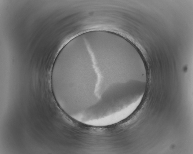 X0000116801529201001151112