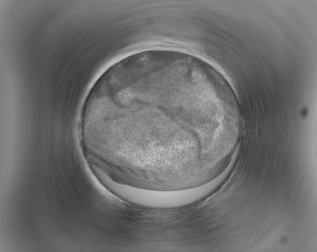 X0000116801531201001151112