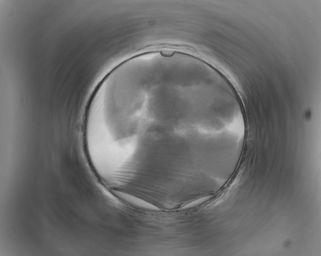 X0000116801533201001151112