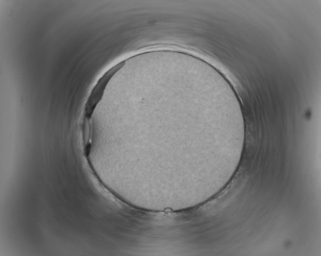 X0000116801534201001151112