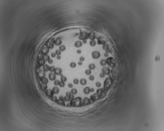 X0000116800001201001291550