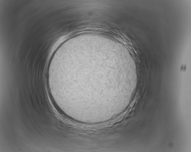 X0000116800003201001291550