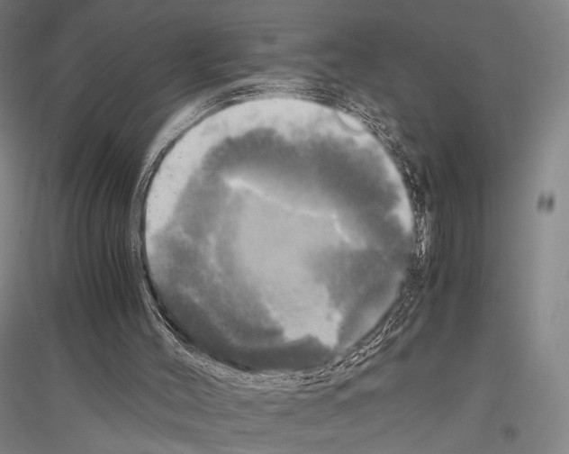 X0000116800004201001291550