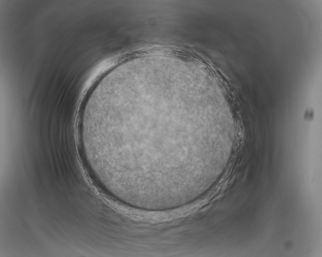 X0000116800006201001291550