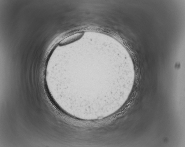 X0000116800007201001291550