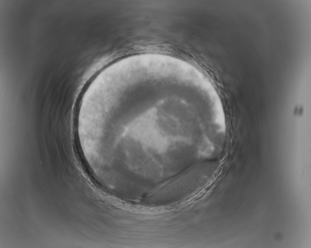 X0000116800008201001291550
