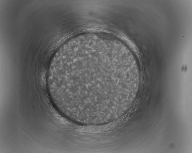 X0000116800009201001291550