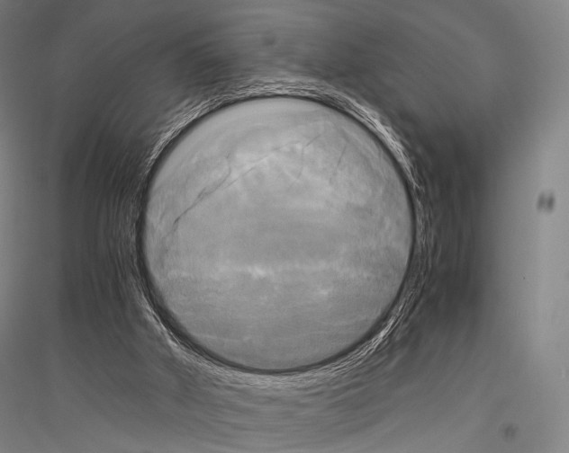 X0000116800010201001291550