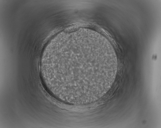 X0000116800011201001291550