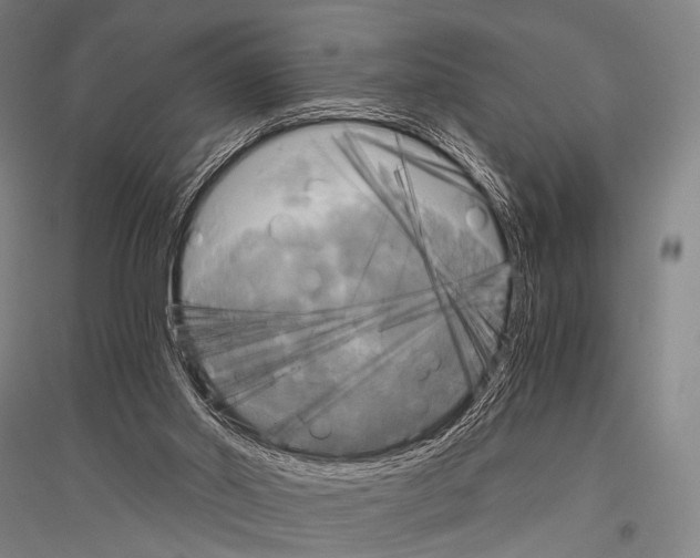 X0000116800014201001291550