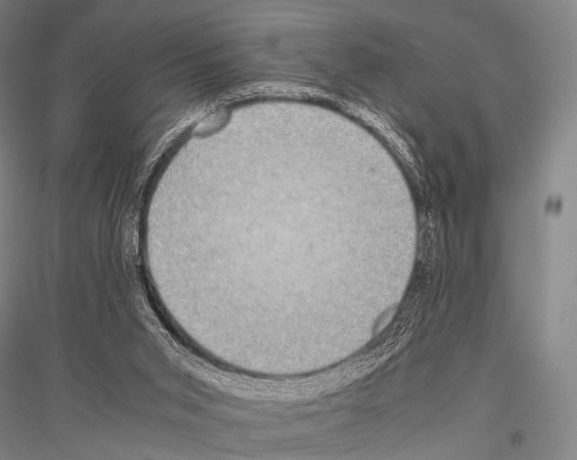 X0000116800015201001291550