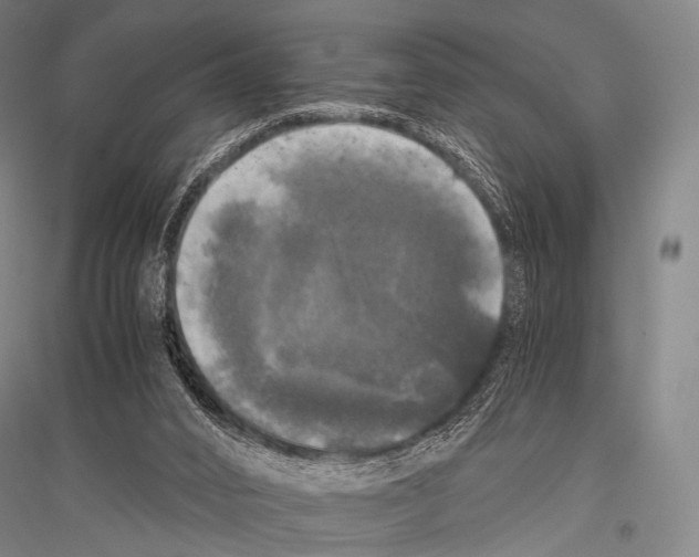 X0000116800016201001291550