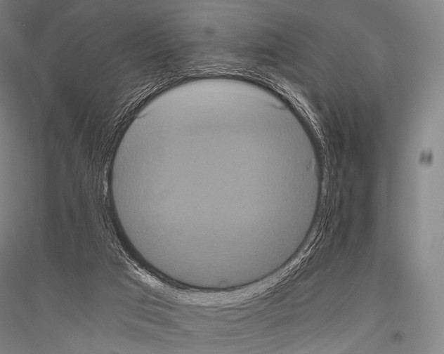 X0000116800017201001291550