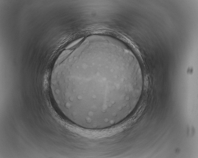X0000116800018201001291550