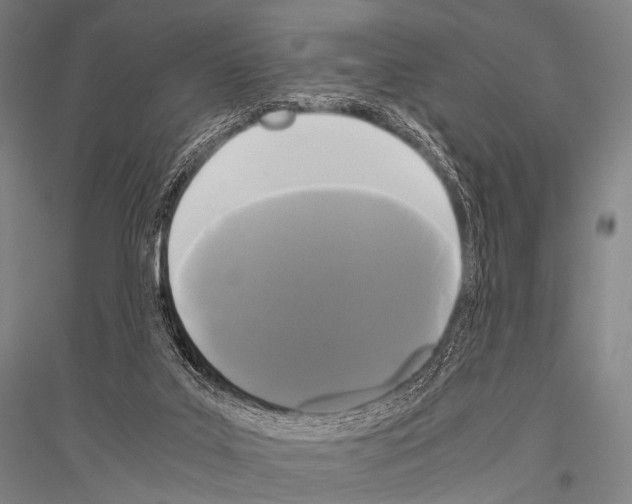 X0000116800019201001291550
